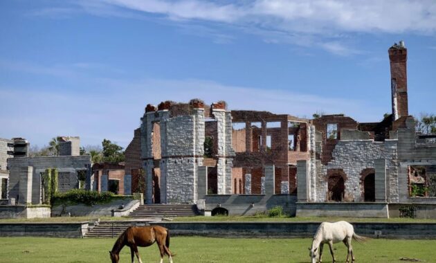 Cumberland Island, Georgia - USA secluded coastal getaways