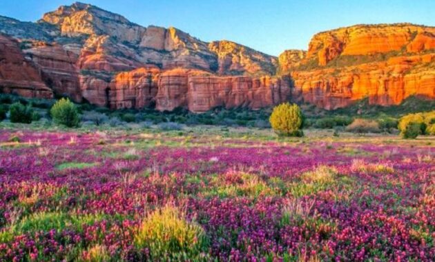 Experience the Vortex Energy Sites - Sedona things to do