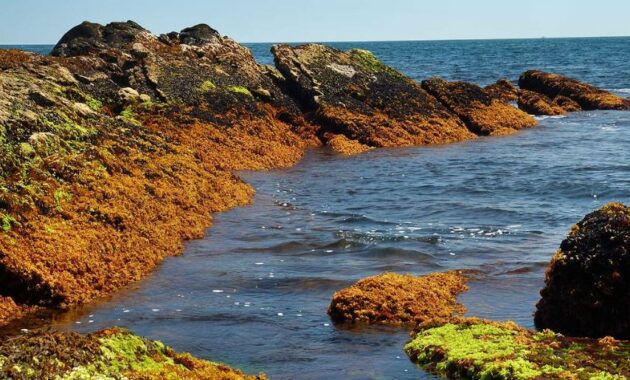 Sachuest Point National Wildlife Refuge, Rhode Island