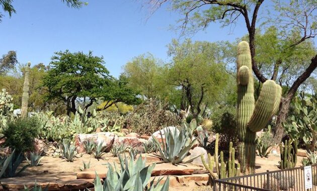 Ethel M Chocolate Factory and Cactus Garden