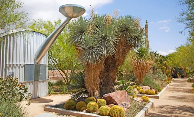 Las Vegas offbeat attractions - Springs Preserve Nature and Culture in One Place