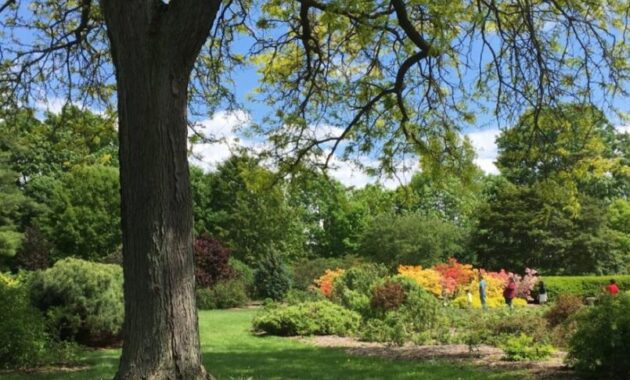 Madison Wisconsin weekend guide - UW Arboretum