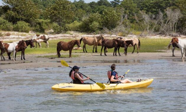 Chincoteague, Virginia