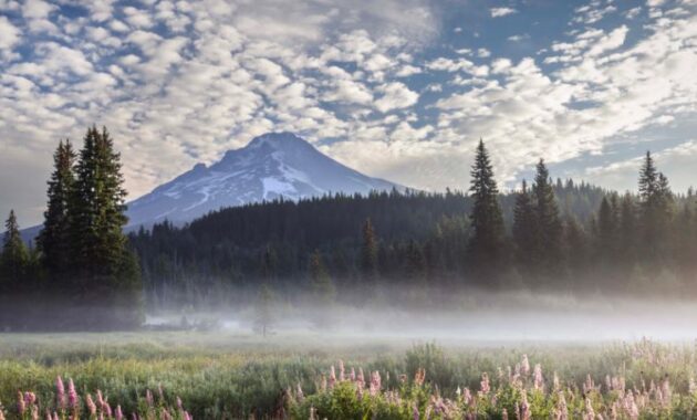 Mount Hood, Oregon USA