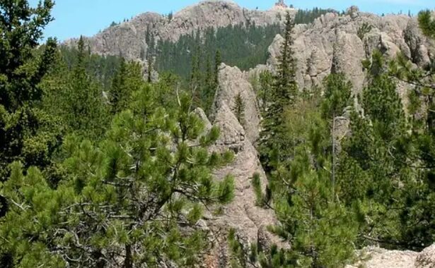 Black Elk Peak via Norbeck Trail, South Dakota