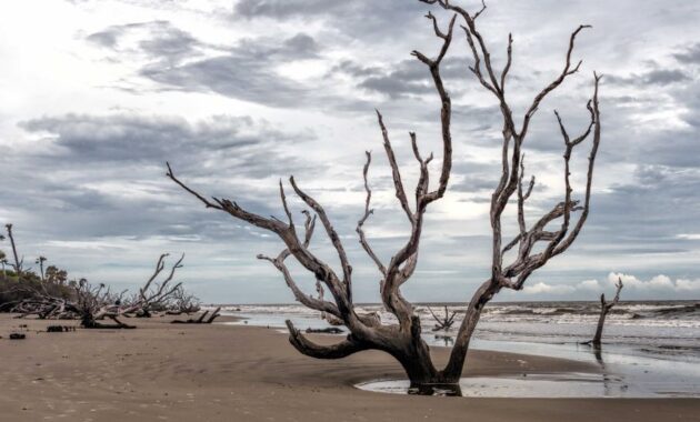 Bulls Island south Carolina secret beach spots