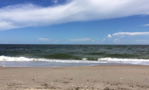 Edisto Beach south carolina