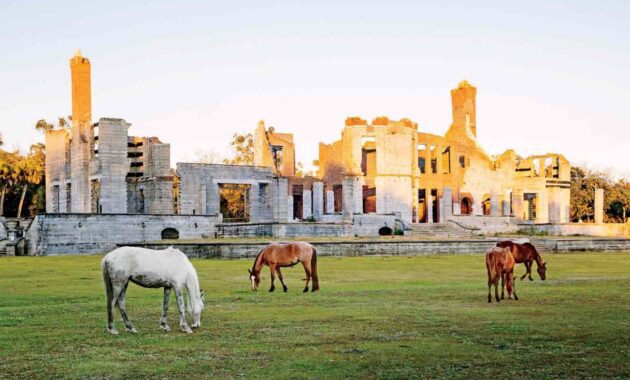 USA secluded coastal getaways - Cumberland Island, Georgia