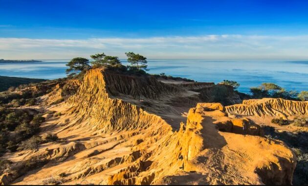 Hike Torrey Pines State Natural Reserve - San Diego family activities