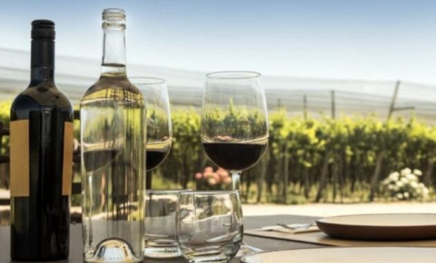 Napa Valley wine tasting tours