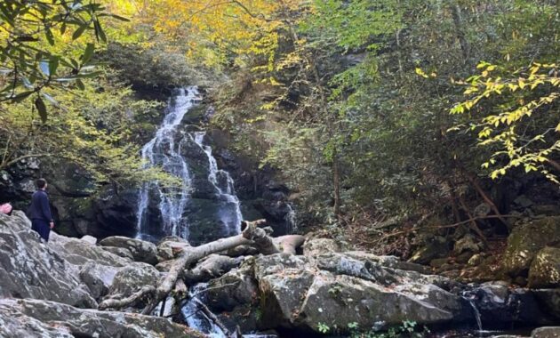 Spruce Flats Falls, Great Smoky Mountains