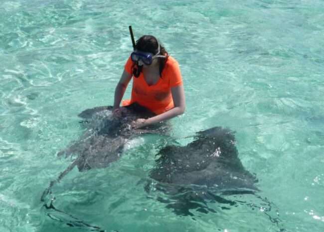 Feeding-the-Shark-Tahiti-Vacation-package-all-inclusive