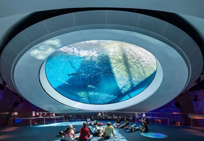 Things-To-Do-In-Downtown-Miami-You-Should-Know-History-of-Miami-Museum