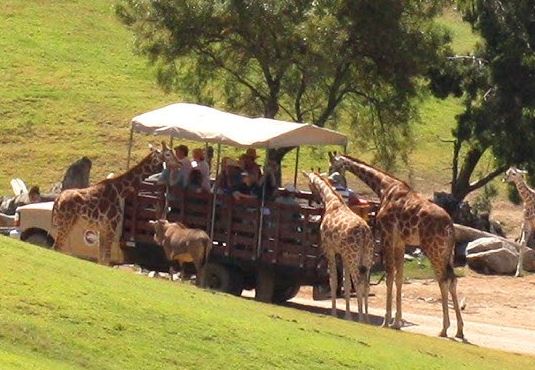 San Diego Zoo Safari Park California 2