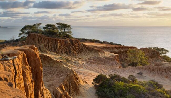 Torrey Pines State Reserve San Diego 2