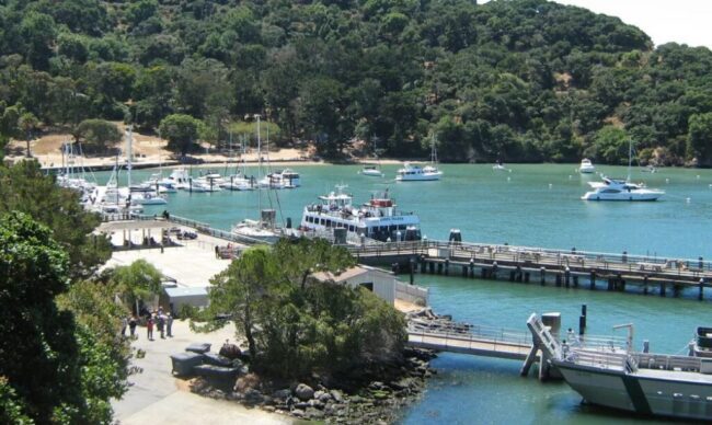 Angel Island State Park 2