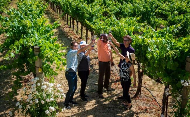 Wine country tours San Fransisco California