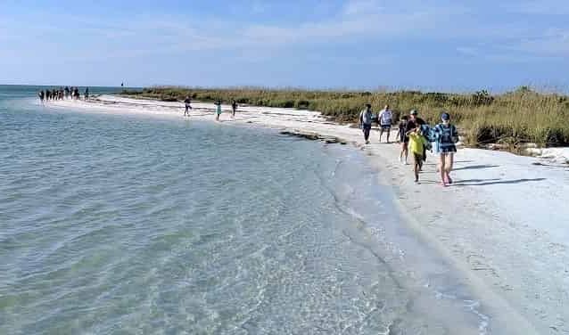 Shell Key Preserve st Pete Florida