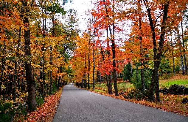Autumn in New Hampshire
