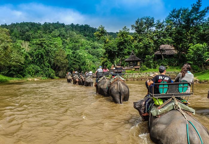 Elephant Trekking Adventure in Chiang Mai, Thailand