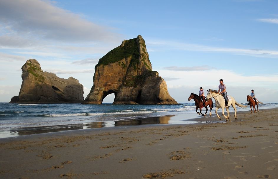 /New Zealand in the Rocks