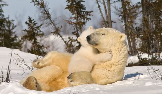 Churchill, Manitoba, Canada