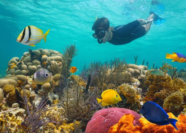 Best Beaches in Kauai for Snorkeling - Anini Beach