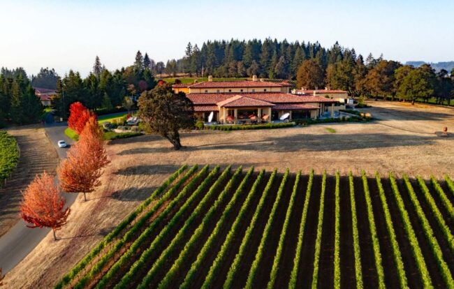 Vineyards in Willamette Valley - Top wine regions USA