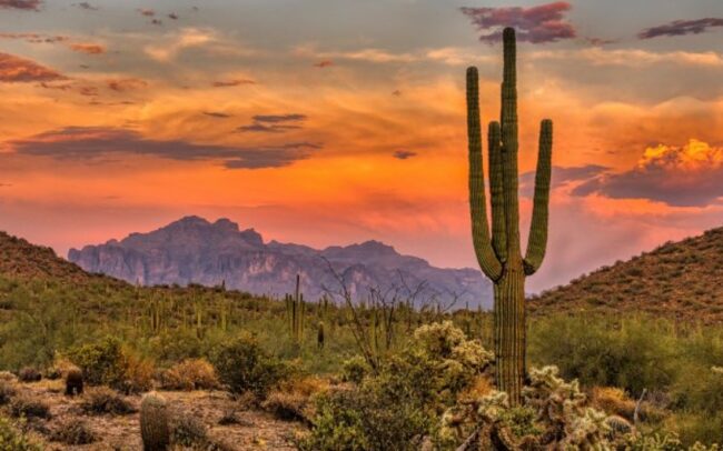 budget travel Phoenix Arizona